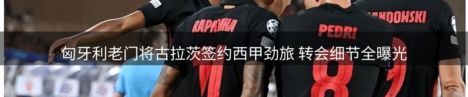 最新资讯