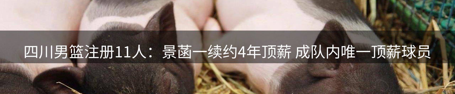 新闻阵地